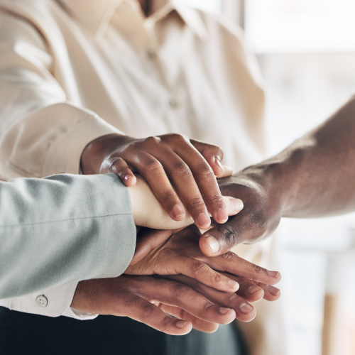 Equipe Cognesfera trabalhando